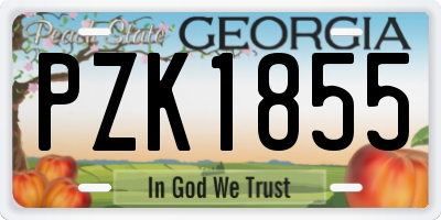 GA license plate PZK1855