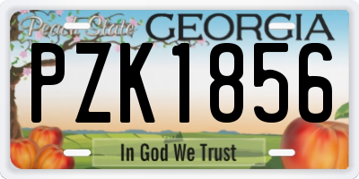 GA license plate PZK1856