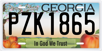 GA license plate PZK1865