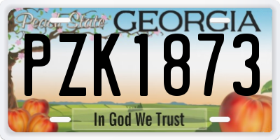 GA license plate PZK1873