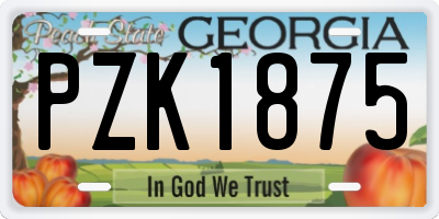 GA license plate PZK1875