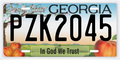 GA license plate PZK2045