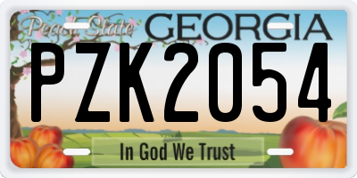 GA license plate PZK2054