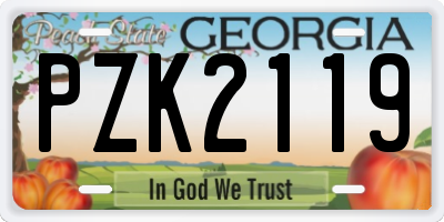 GA license plate PZK2119