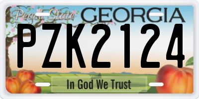GA license plate PZK2124
