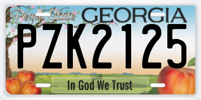 GA license plate PZK2125