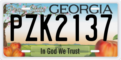 GA license plate PZK2137