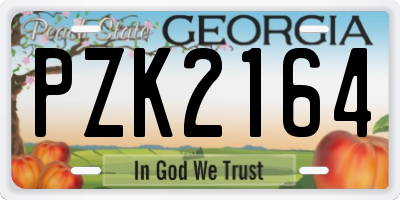 GA license plate PZK2164