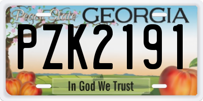 GA license plate PZK2191