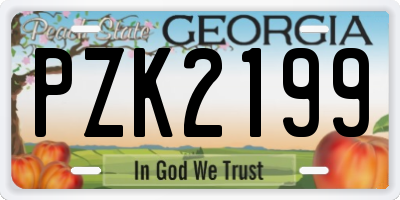 GA license plate PZK2199