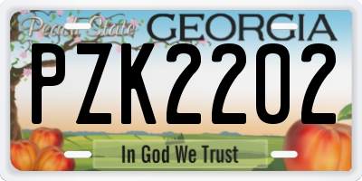 GA license plate PZK2202