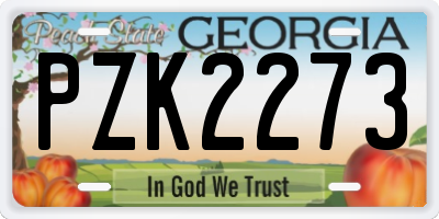 GA license plate PZK2273