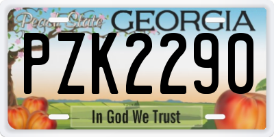 GA license plate PZK2290