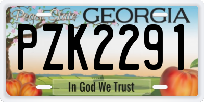 GA license plate PZK2291
