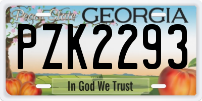 GA license plate PZK2293