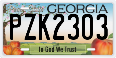 GA license plate PZK2303