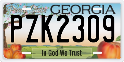 GA license plate PZK2309