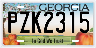 GA license plate PZK2315