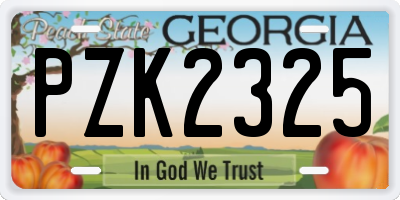 GA license plate PZK2325