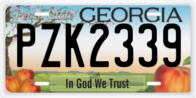 GA license plate PZK2339