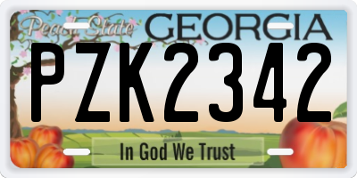 GA license plate PZK2342