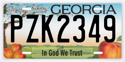 GA license plate PZK2349