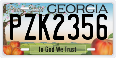 GA license plate PZK2356