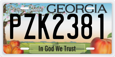 GA license plate PZK2381