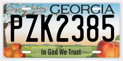 GA license plate PZK2385