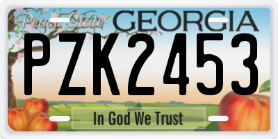 GA license plate PZK2453