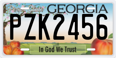 GA license plate PZK2456