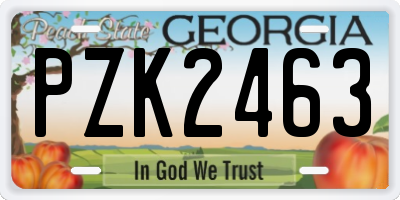 GA license plate PZK2463
