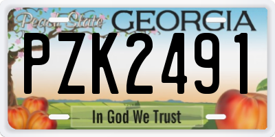 GA license plate PZK2491
