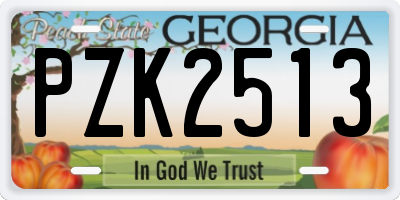 GA license plate PZK2513
