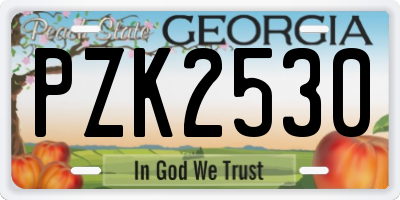 GA license plate PZK2530