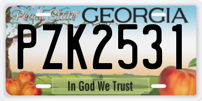 GA license plate PZK2531