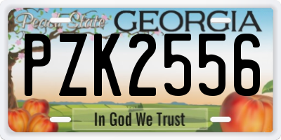 GA license plate PZK2556