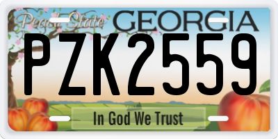 GA license plate PZK2559