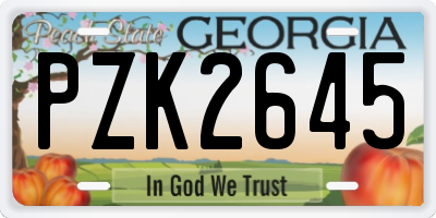 GA license plate PZK2645