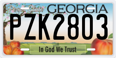 GA license plate PZK2803
