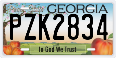 GA license plate PZK2834