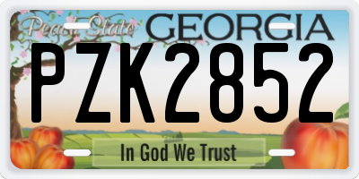 GA license plate PZK2852