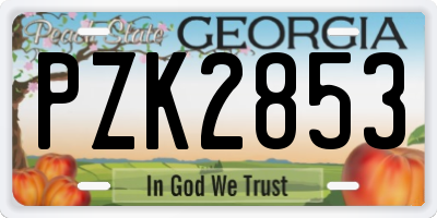 GA license plate PZK2853