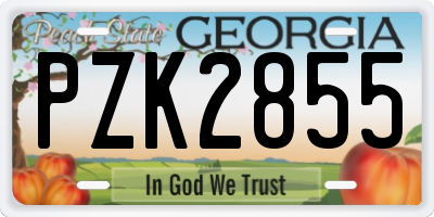 GA license plate PZK2855