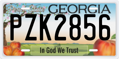 GA license plate PZK2856
