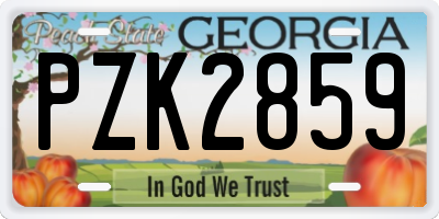 GA license plate PZK2859