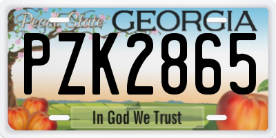 GA license plate PZK2865