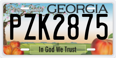 GA license plate PZK2875