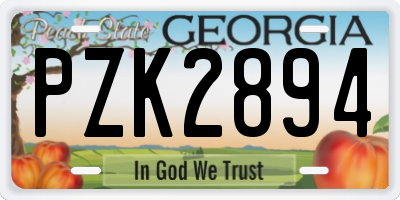 GA license plate PZK2894