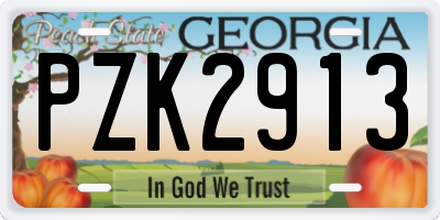 GA license plate PZK2913